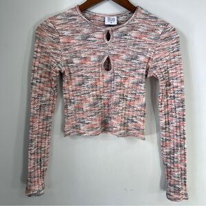 BDG Urban Outfitters Multicolor Long Sleeve Crop Top